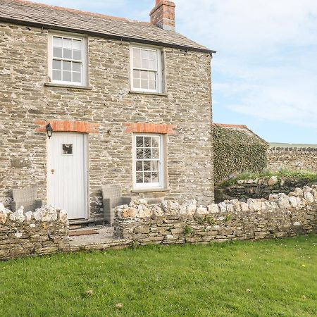 Home Farm Cottage Boscastle Exteriér fotografie