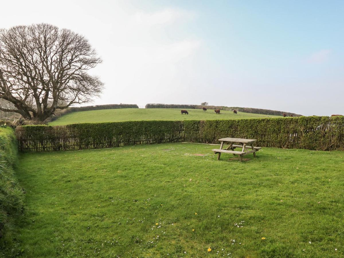 Home Farm Cottage Boscastle Exteriér fotografie